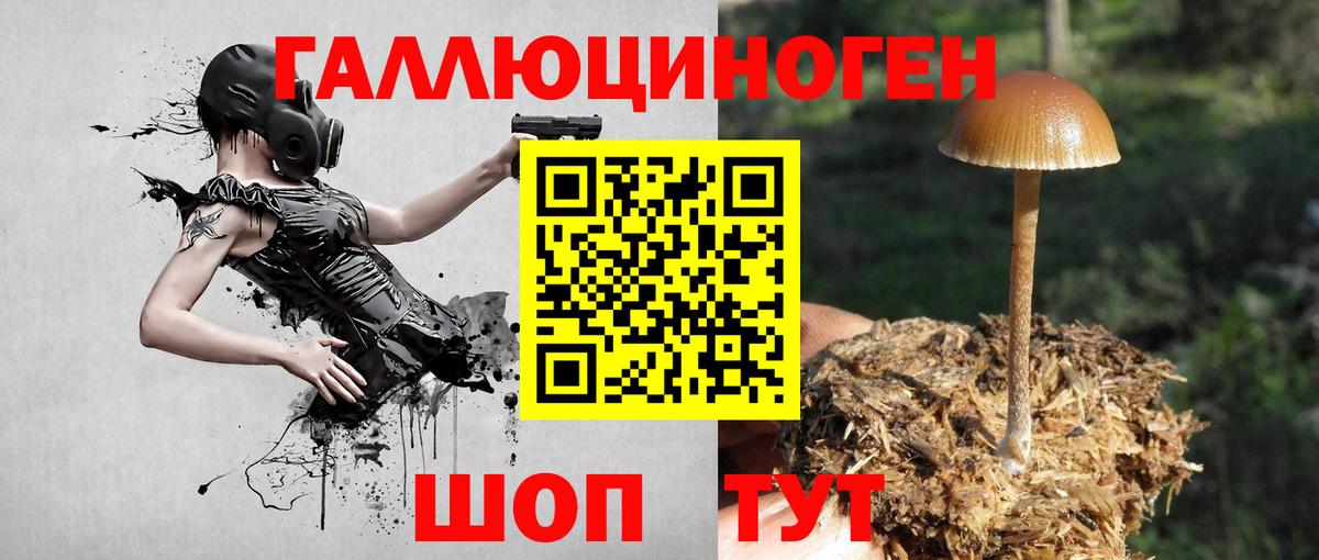 Галлюциногенные грибы прущие грибы  Вход с VPN  Сибай  Галлюциногенные грибы Cubensis 